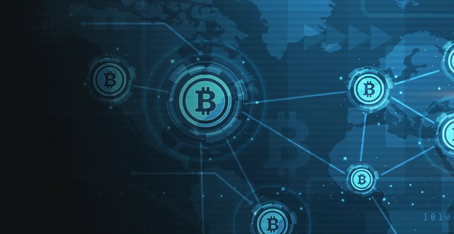 banner-image